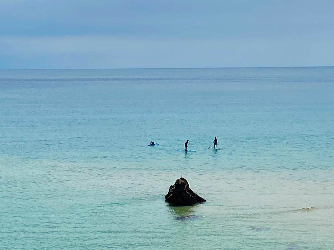 }X|[c[Ă܂BJbNETbvEނEEE₢킹