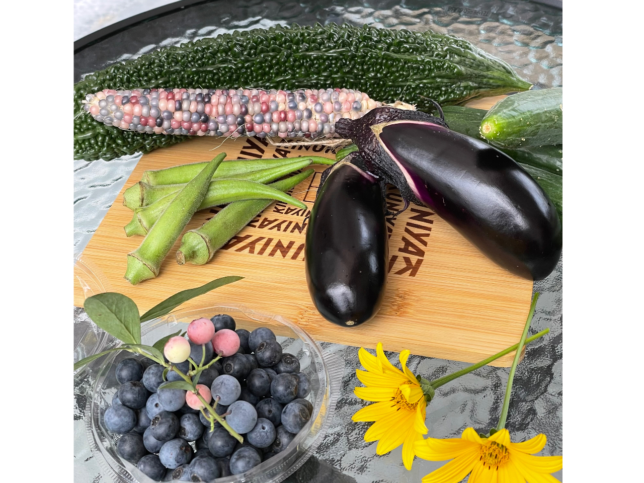 美里町／もちだブルーベリー園】ブルーベリー/時間無制限プラン ＊綺麗