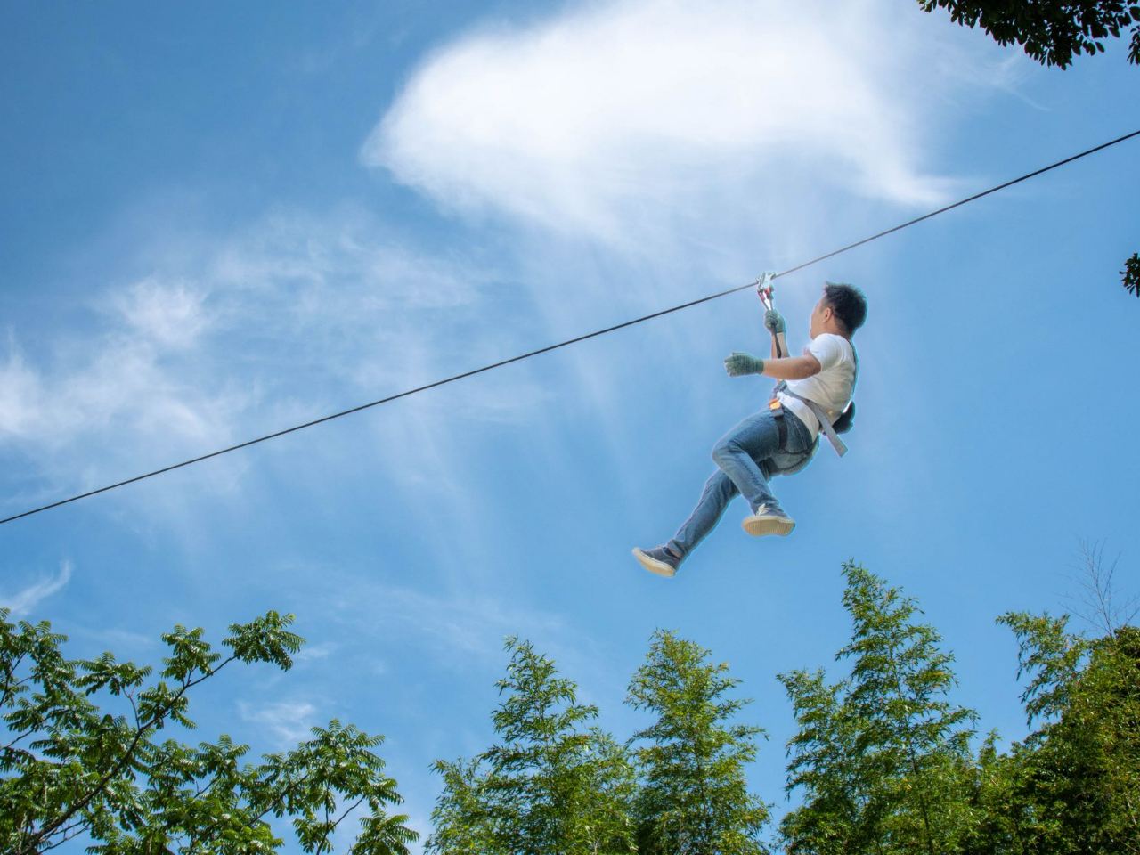 ZIP!ZIP!ZIP! みんな大好きZIPスライド!