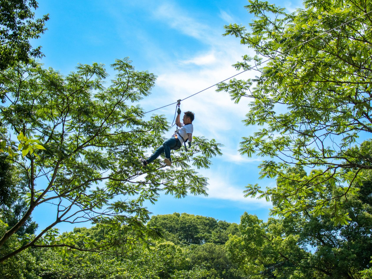 フォレストアドベンチャー・久山はZIPスライドがとにかく多い!