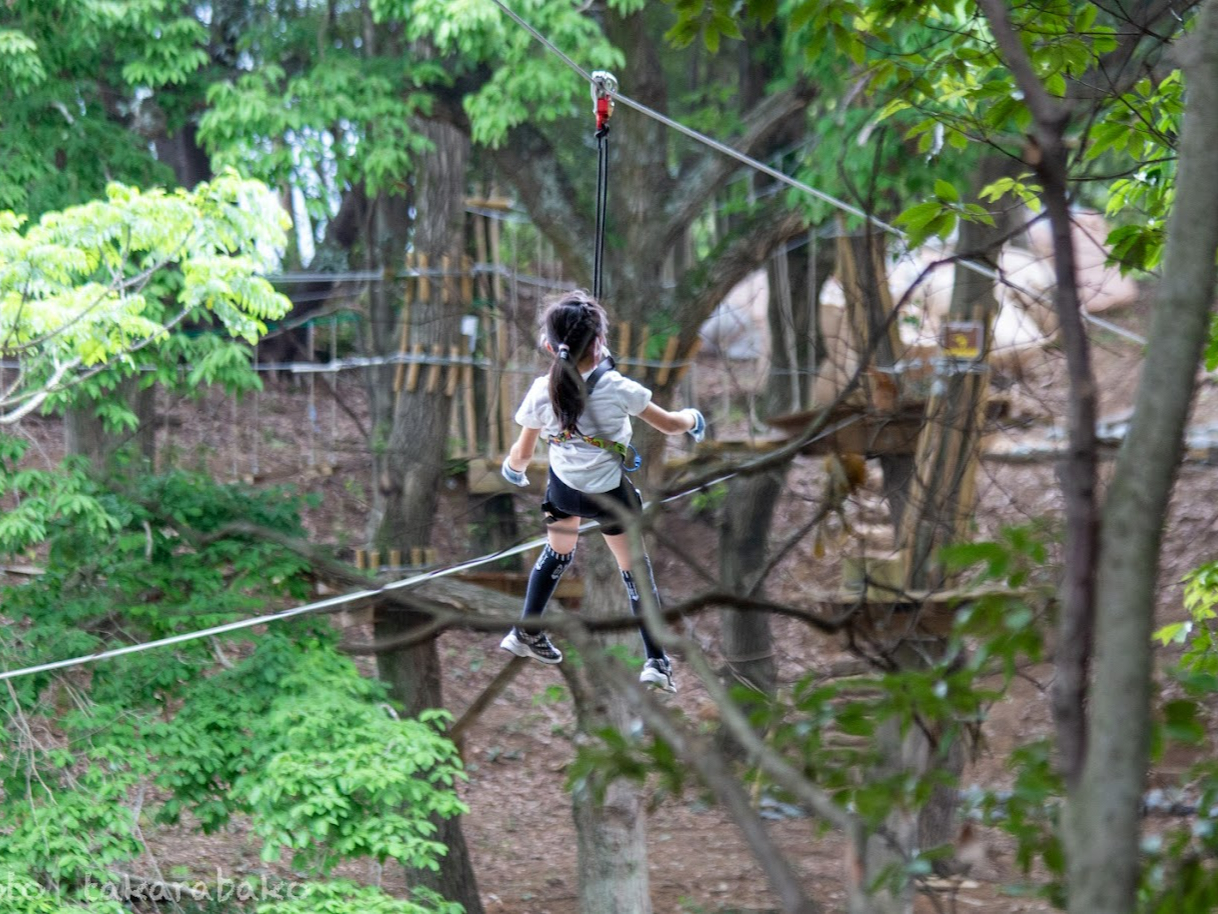 気分爽快!ZIP!ZIP!ZIP!