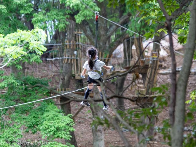 気分爽快!ZIP!ZIP!ZIP!