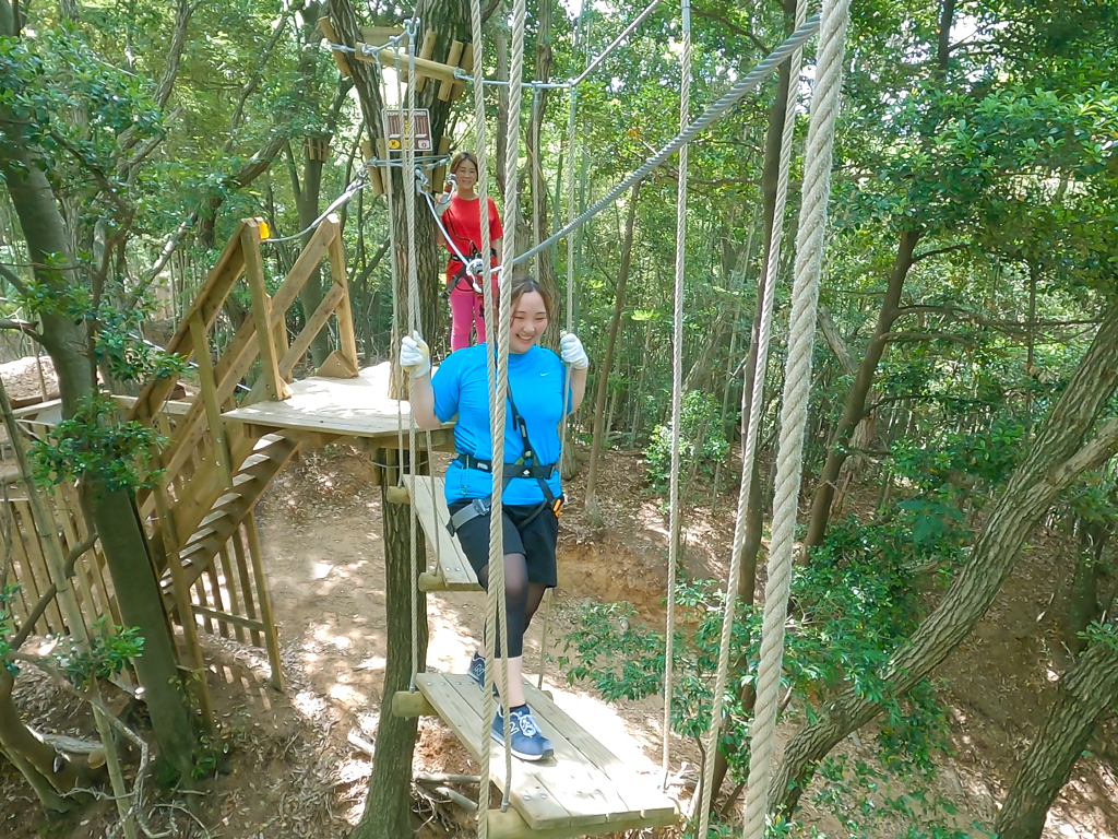 美しい森で遊ぼう!