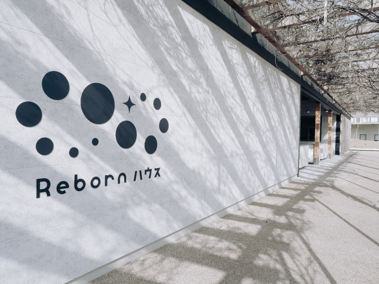 Reborn�n�E�X �O��