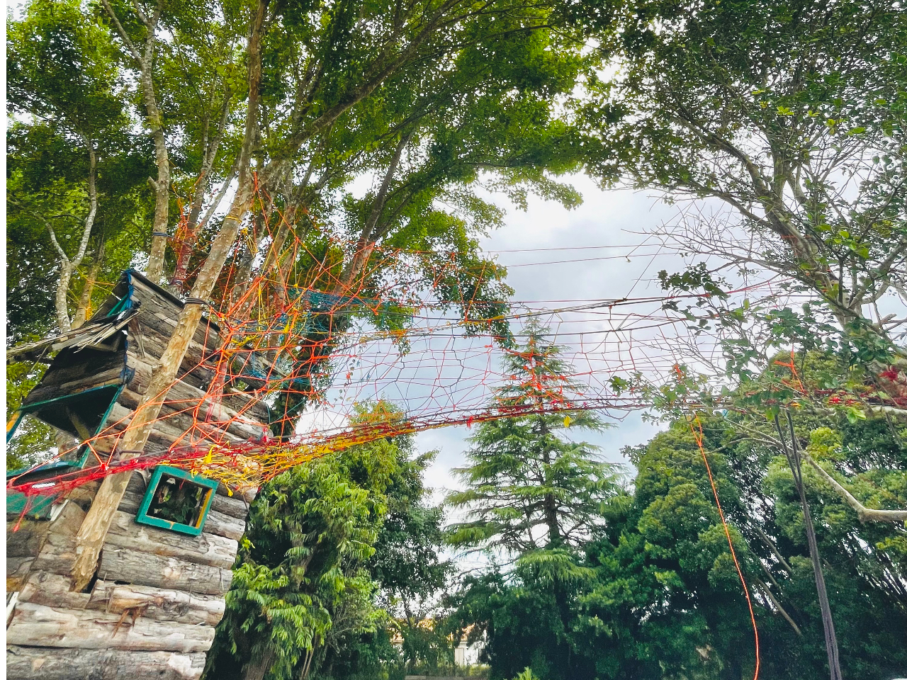 様々なところにスパイダーウェブが張り巡らされていますよ!