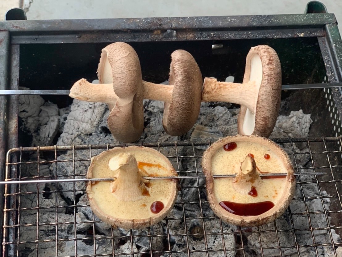 ̂ꂽĂۂƂ̏łĂԂłnjIIׂđĂ܂(^_-)-iʁII