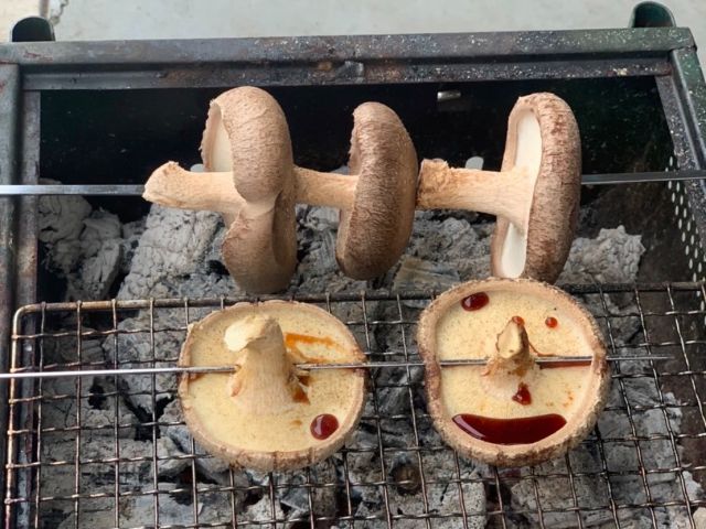 採れたてしいたけを丸ごとその場でしいたけ焼き♪手ぶらでOK!!調味料等すべて揃っております(^_-)-☆美味しさ格別!!