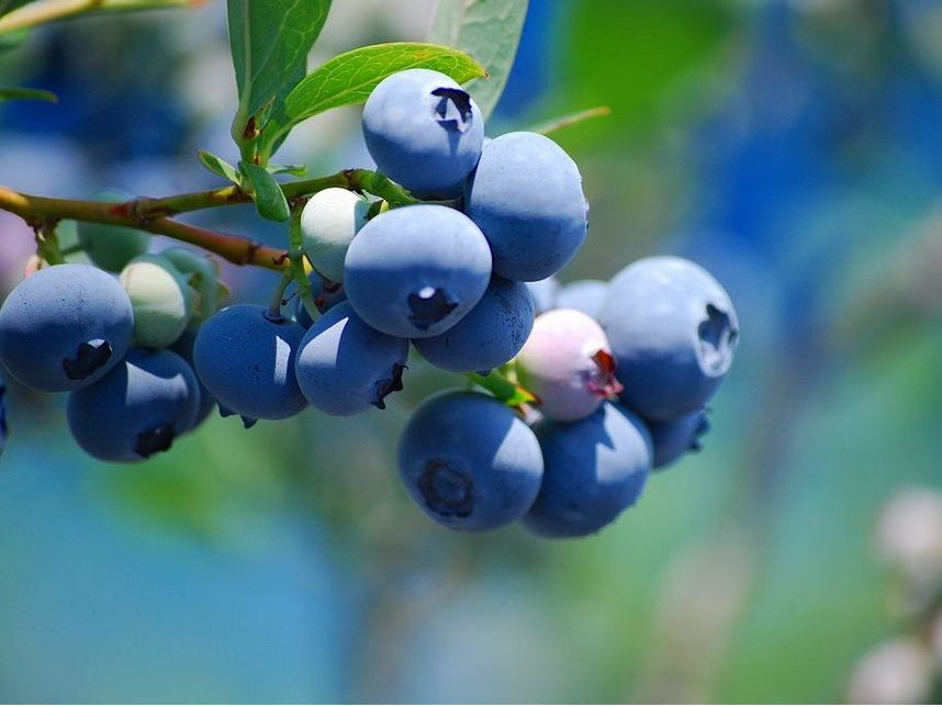 皆様のご来園をお待ちしております♪