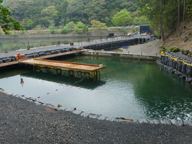 レジャー村名物の『陸上釣堀』。陸の上から釣りを楽しめるので、お子様も安心。暑い時は木陰もあり、のんびり釣りができます。