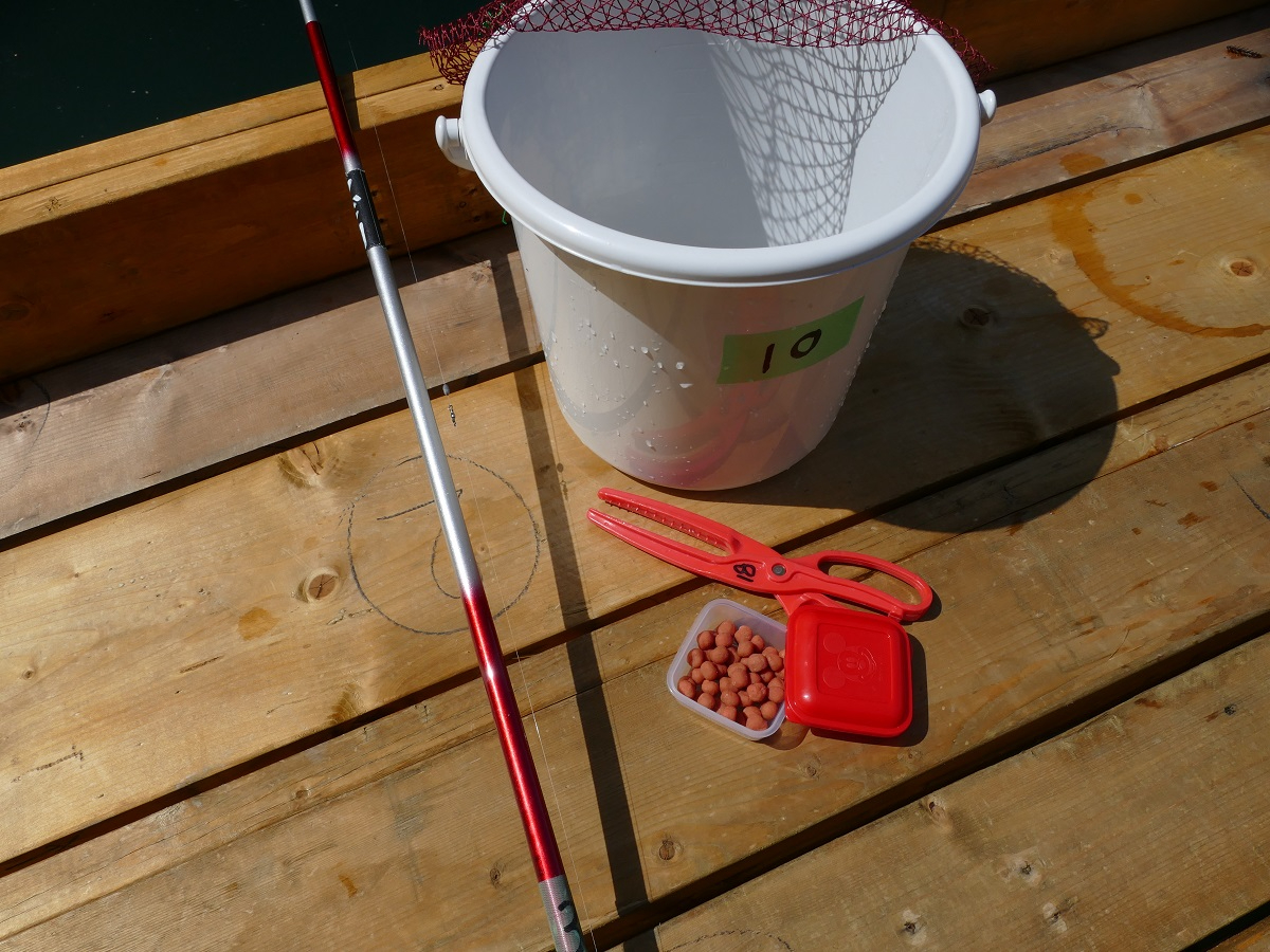 ނ蓹͑SăvɊ܂܂Ă̂ŁAԂOKI