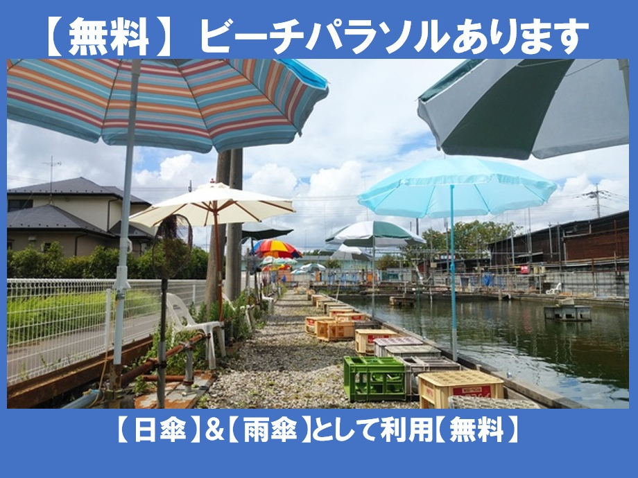 K[fp\łpł܂ByJPzyPzOh~ɂǂI