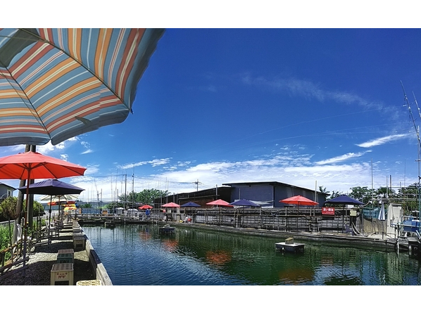 【40CM】サイズ釣れる!【屋外】の鯉釣り!【浅鯉池】【深鯉池】の2面がある!【深鯉池】にはデカい!デカ過ぎる!【アイツ】がいる!※詳細は【ユーチューブ】で!