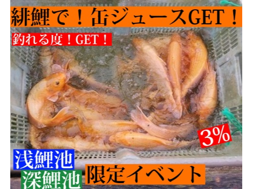 yzy[zrŁyzyьzނƁyʃW[Xz1{GETI