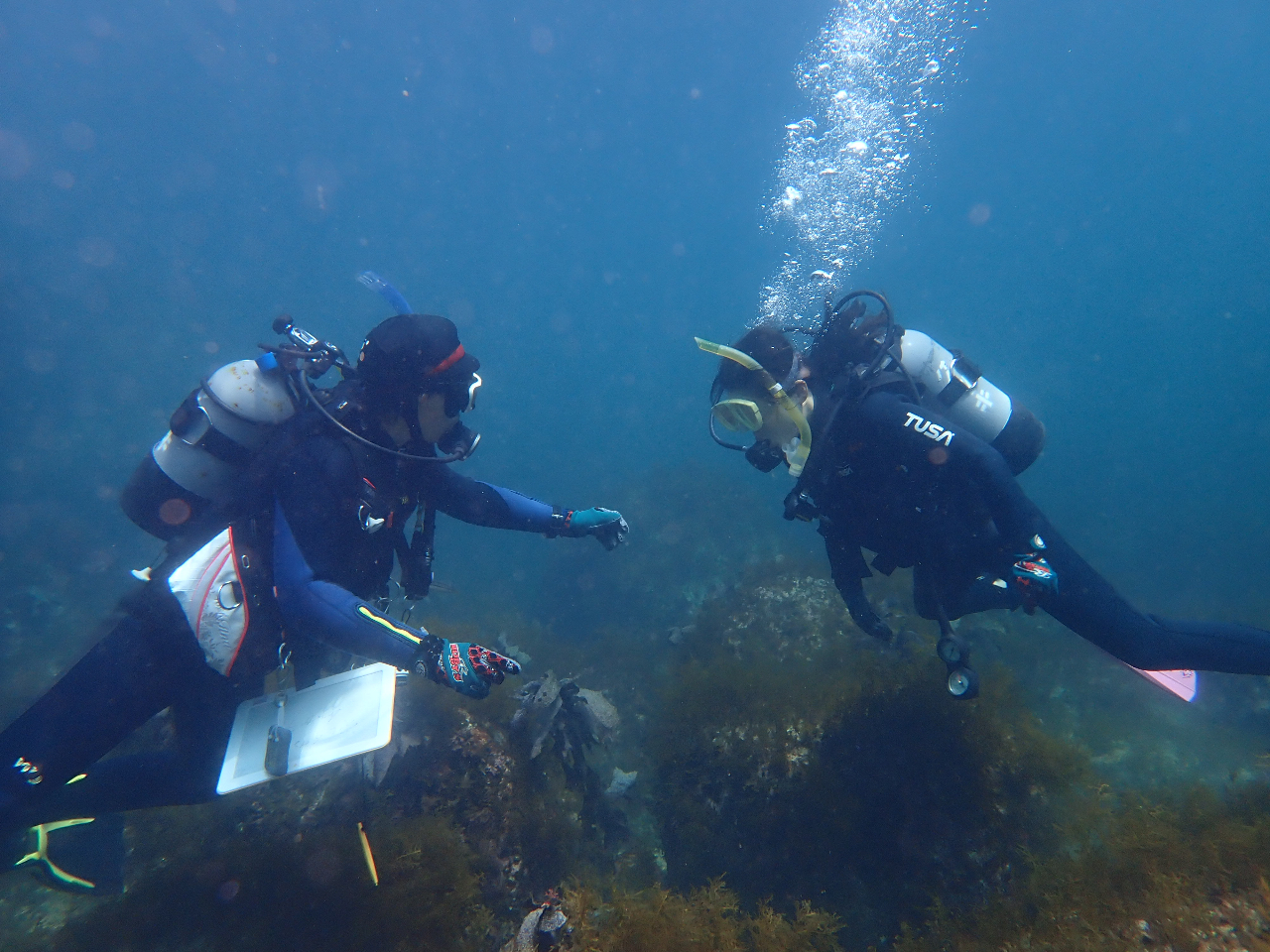 【越前海岸で体験ダイビング】初心者歓迎♪カップルや女子旅にもお薦め越前の海を楽し...