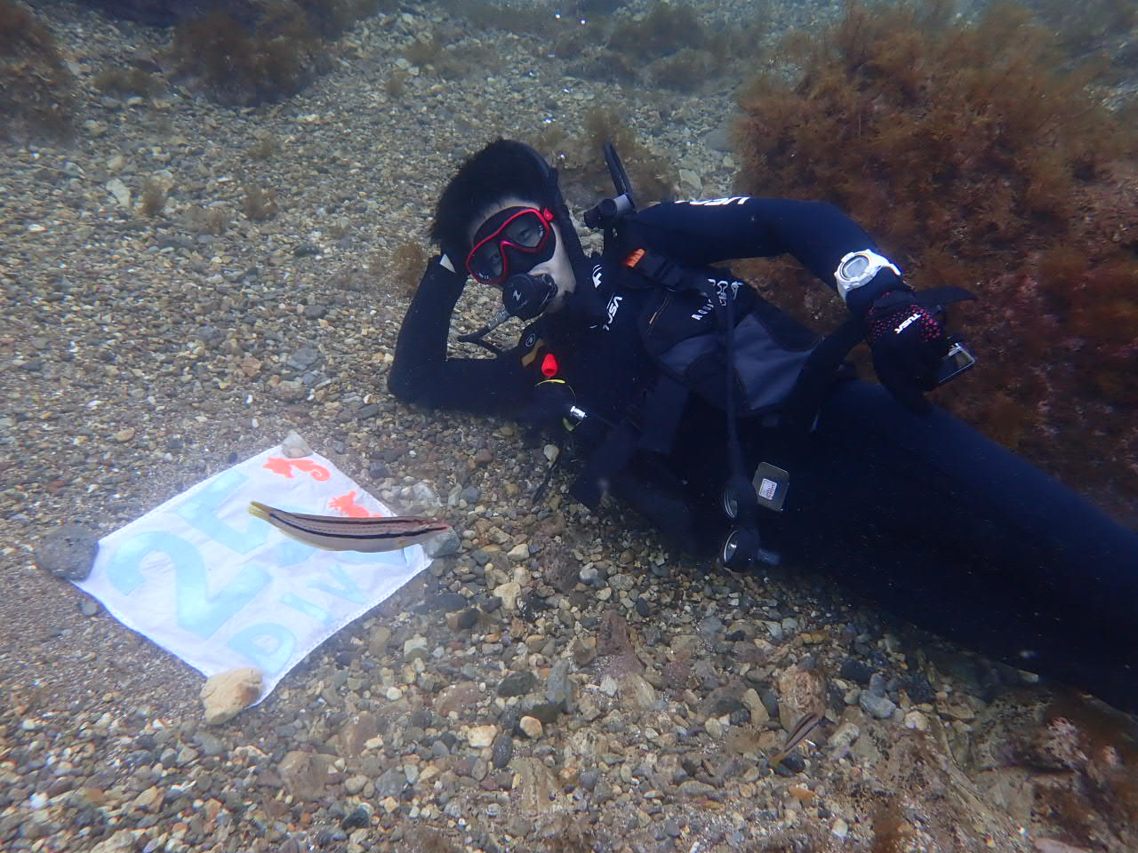 25本記念ダイブ撮影会( ´∀` )