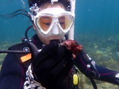 これは何の生物だろうか( ´∀` )