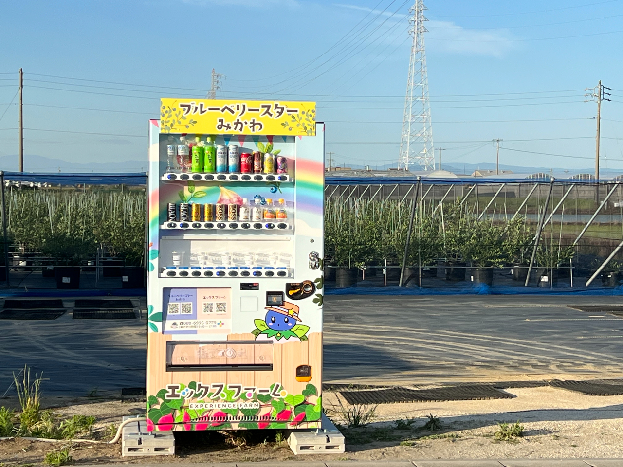 農園の入り口には自動販売機が設置されています。農園の目印としてもご活用ください