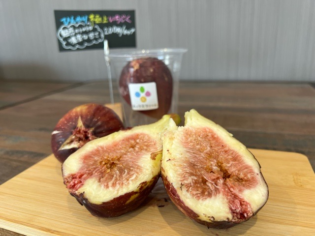 10月中はひんやり極上いちじくをプレゼント!