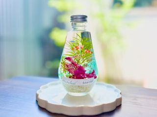 手軽にアクアリウムを体験できます!