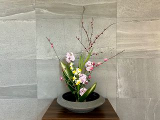 初めてでもお気軽にご体験いただけます*