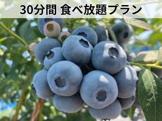 甘くて大粒のブルーベリーが自慢です♪