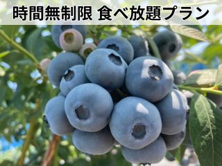 甘くて大粒のブルーベリーが自慢です♪