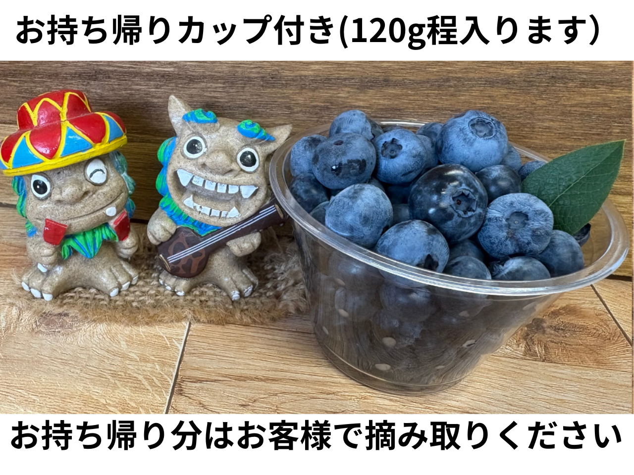 �J�b�v�ɓ���Ȃ�����1��5�~�ł������A��ƂȂ�܂��B