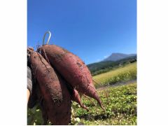 会津の宝「磐梯山」を見ながら、土に触れて自然を満喫できる場所です!
