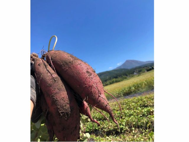 会津の宝「磐梯山」を見ながら、土に触れて自然を満喫できる場所です!