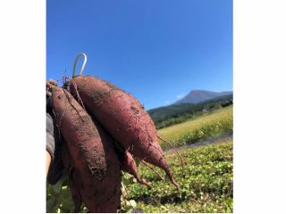 会津の宝「磐梯山」を見ながら、土に触れて自然を満喫できる場所です!