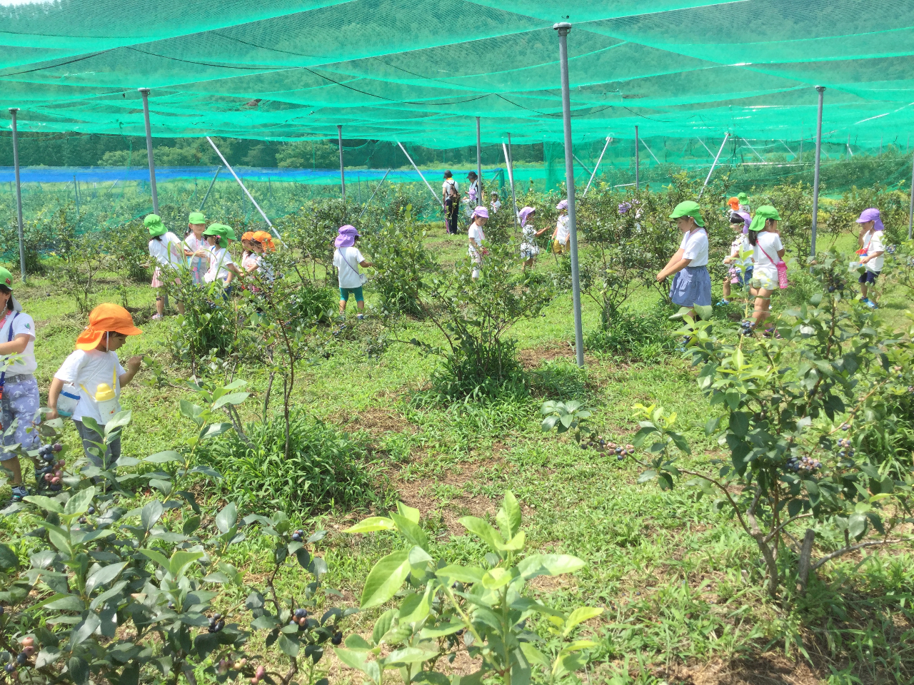 �L�X�Ƃ����_���ŁA�������Ɣ��������u���[�׃��[�����킦�܂�