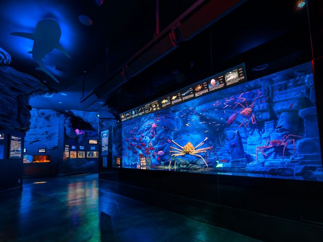 水深2,500mを誇る日本一深い駿河湾は、世界的にも生物の宝庫として知られる有数な海です。ここでは駿河湾に生息する深海生物を展示しています。