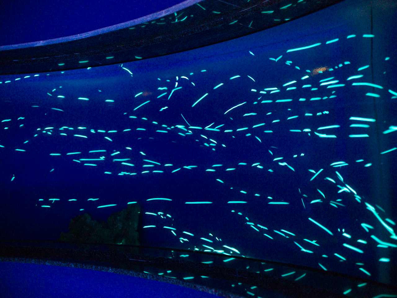 tBs̐[CuqJL_Cv[C̃vl^EłByƂƂɂ\B