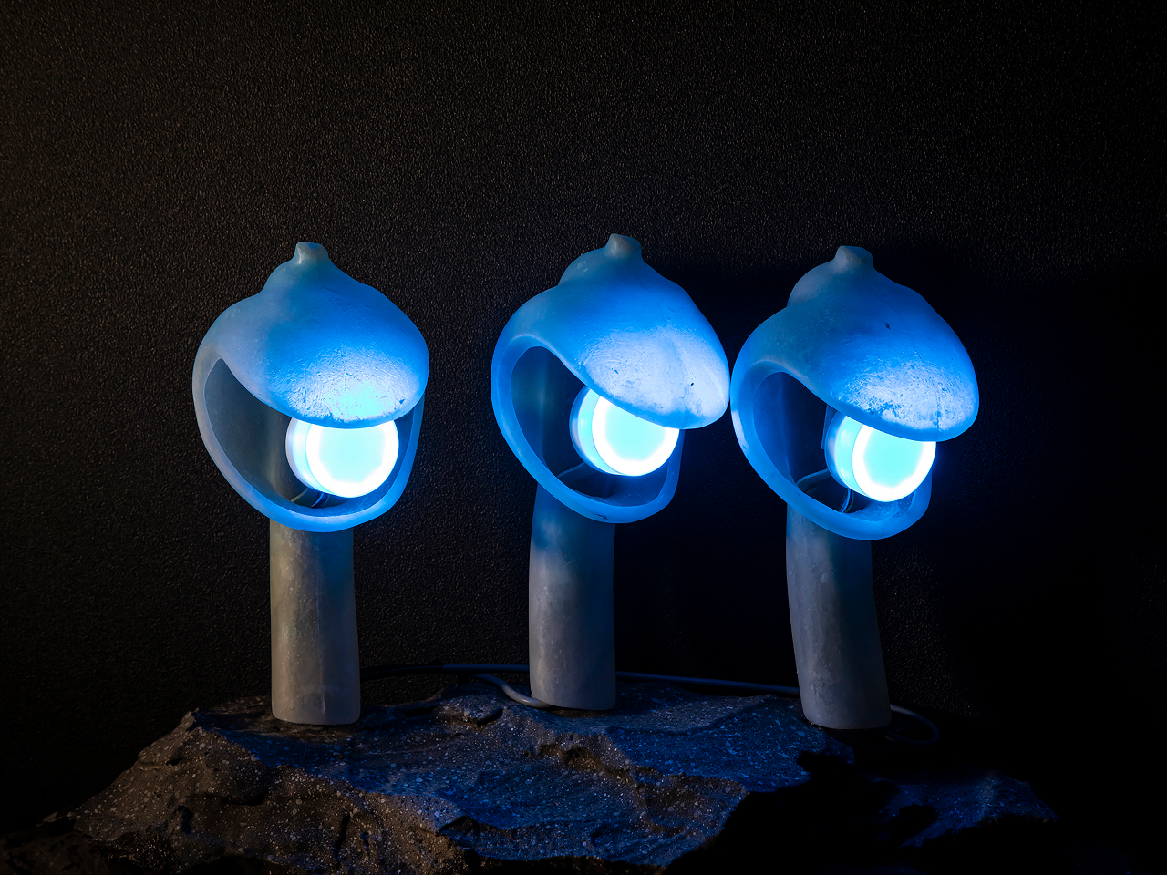 [Cɂĕߊl|CgقȂ܂B ̐[C_ĕߊl|CgQbg܂傤!