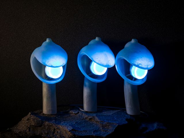 深海生物によって捕獲ポイントが異なります。 たくさんの深海生物を狙って捕獲ポイントをゲットしましょう!