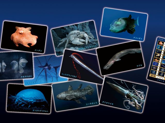 探査が終わったら 捕獲カードをゲット! 捕獲に成功した生物には★マークが付いています。全生物の捕獲や上位ランクを目指してがんばりましょう!