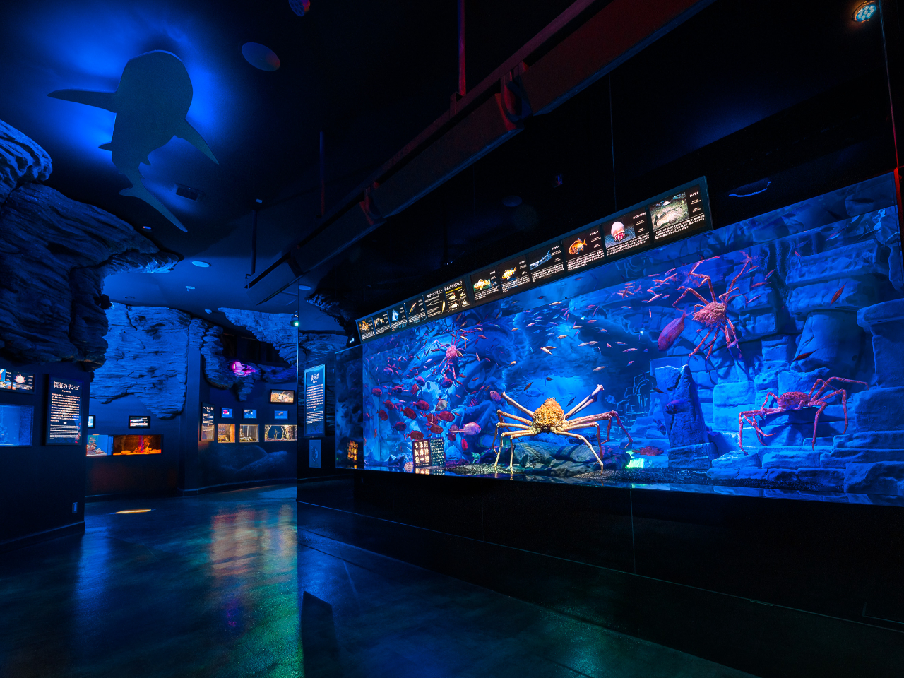 [2,500mւ{[x͘ṕAEIɂ̕ɂƂĒmLȊCłBł͏x͘pɐ[CWĂ܂B