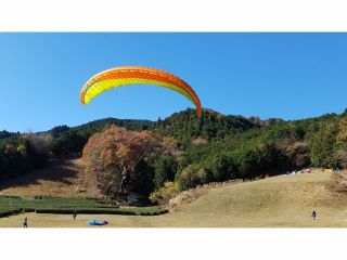 この大空に翼を広げて 鳥に なりたいなー 夢が叶ったね。