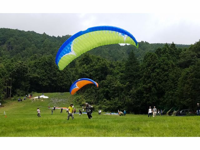 繰り返しライズアップ練習するヒヨコ2羽 頑張ってー