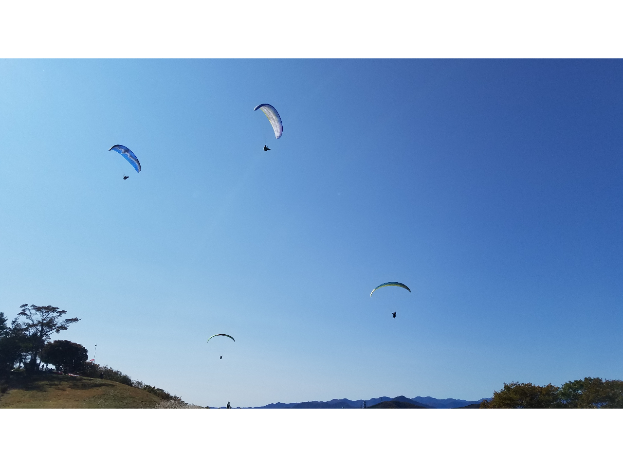 RRGAł̃\AO@F񒹂ɂȂĂ܂B