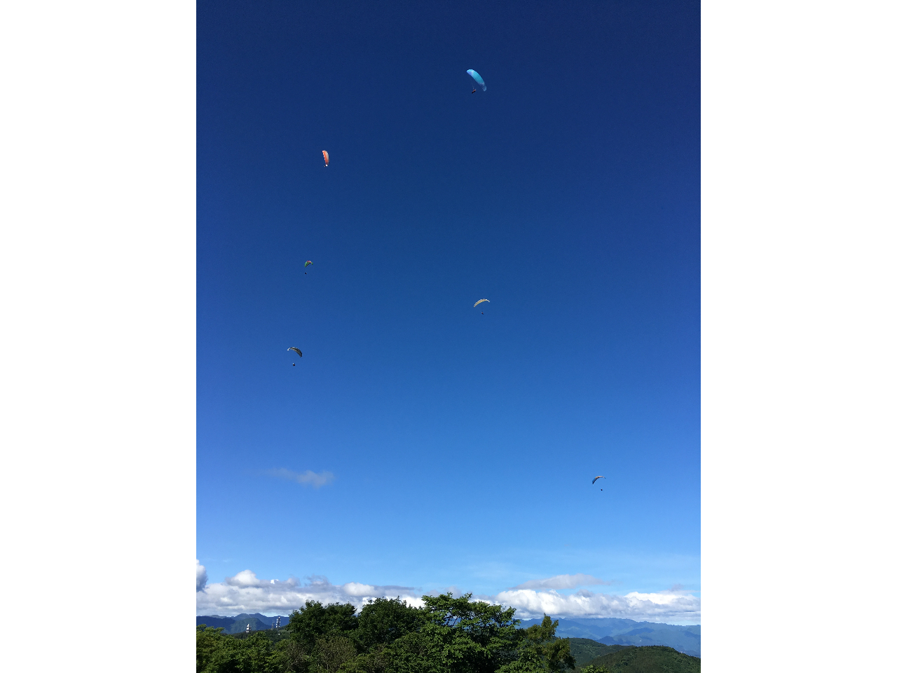 RRGAł̃\AO@F񒹂ɂȂĂ܂Bōlx͉Ə̎q3450܂ŏ㏸@ǂ낶ȂłB