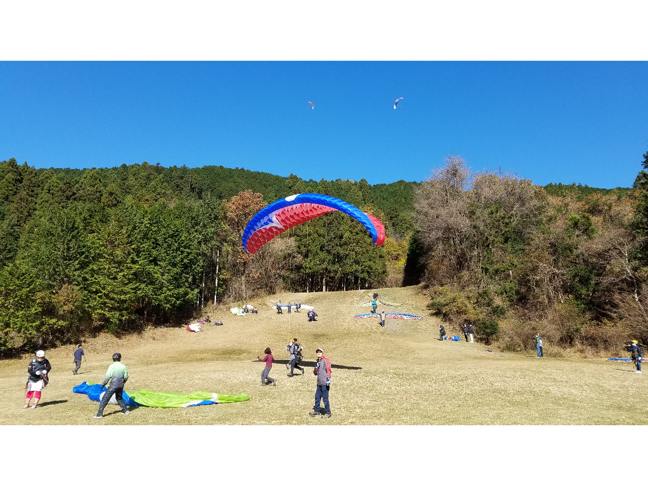 CYAbvăXs[ht畂[@y@̌ł͕Ȃ̌ɂĂėǂ[