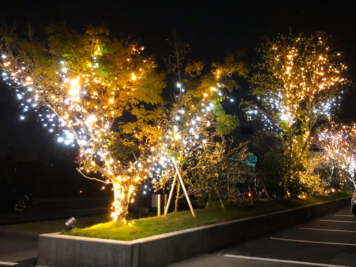 敷地内にはあちらこちらにイルミネーションが点灯します。