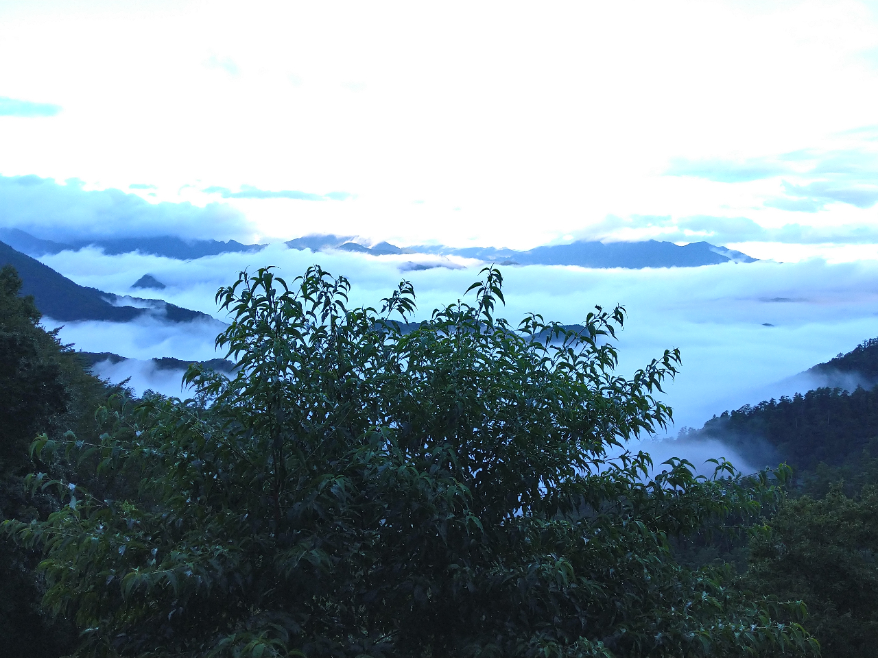 {̌ÎL`̂ӂ邳ƁABRn̂ӂƂɓ`x(񂽂イ )_yϏ܁Ě܂B