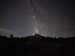 だれもいない真っ暗な林道