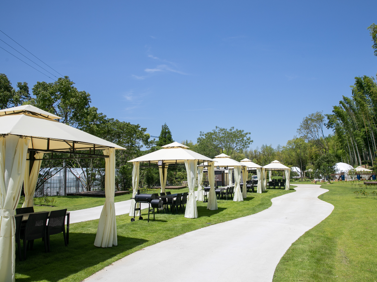 |тɈ͂܂ꂽn@BBQTCg