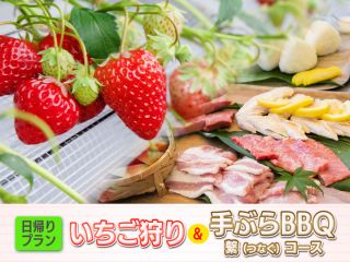 いちご狩り&BBQがセットになった贅沢なプラン♪ 2時間30分の間、BBQをしながらいちご食べ放題の贅沢プラン♪