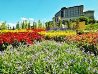 フラワー ガーデン森の風の口コミ一覧 じゃらんnet フラワー ガーデン森の風の口コミ一覧 じゃらんnet