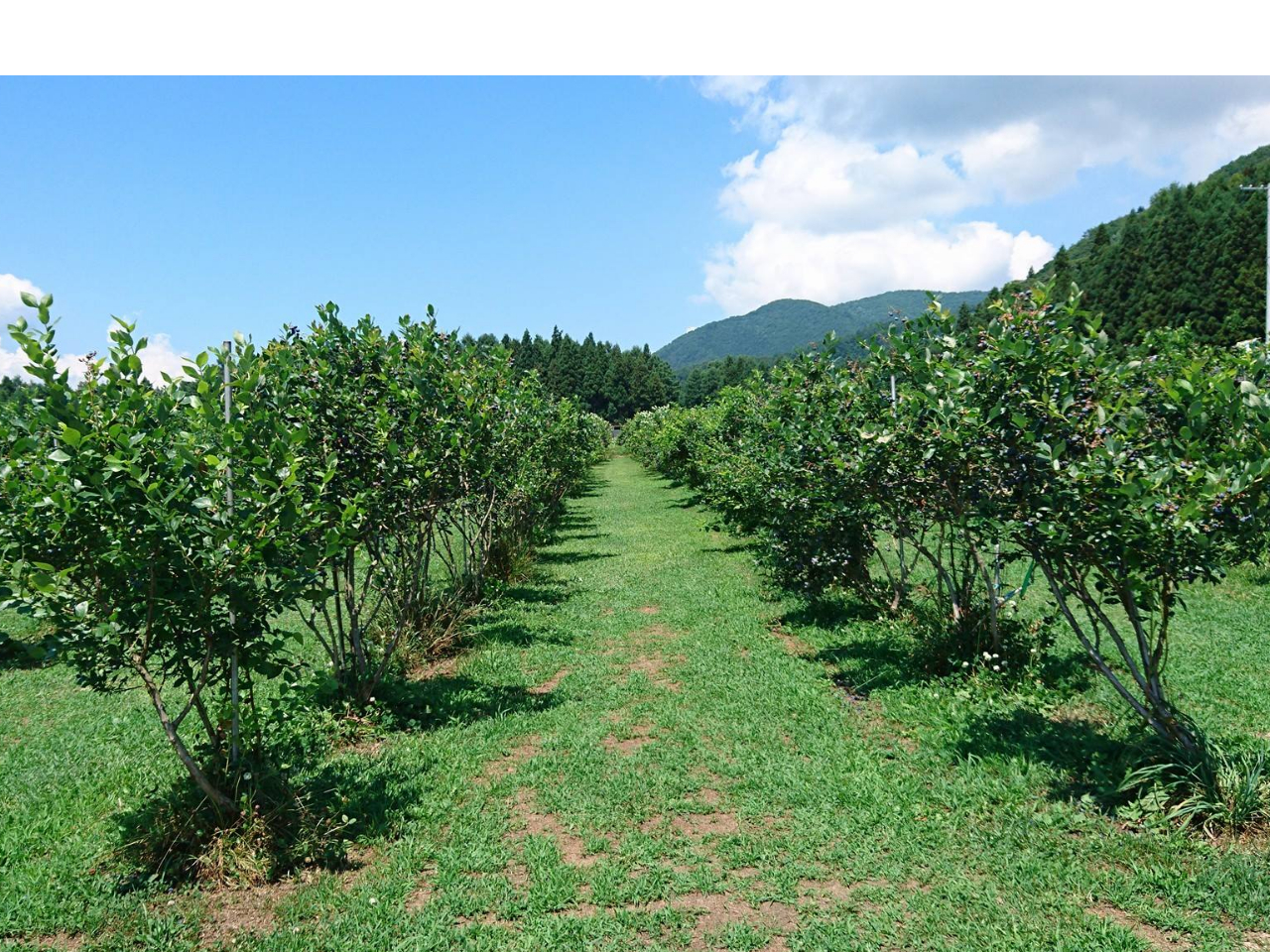 10ވȏA1000{̃u[x[̎Flo}BVCǂΒc΂郍P[Vł