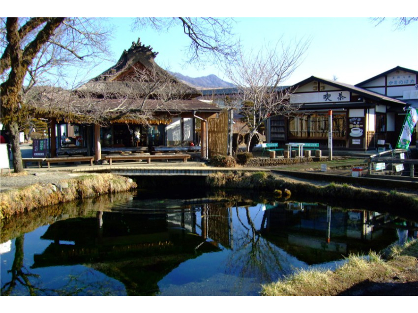 【成田空港周辺~富士山周辺】貸切ハイヤー観光プラン <定員4~9名>